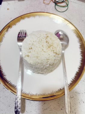 Nasi Putih