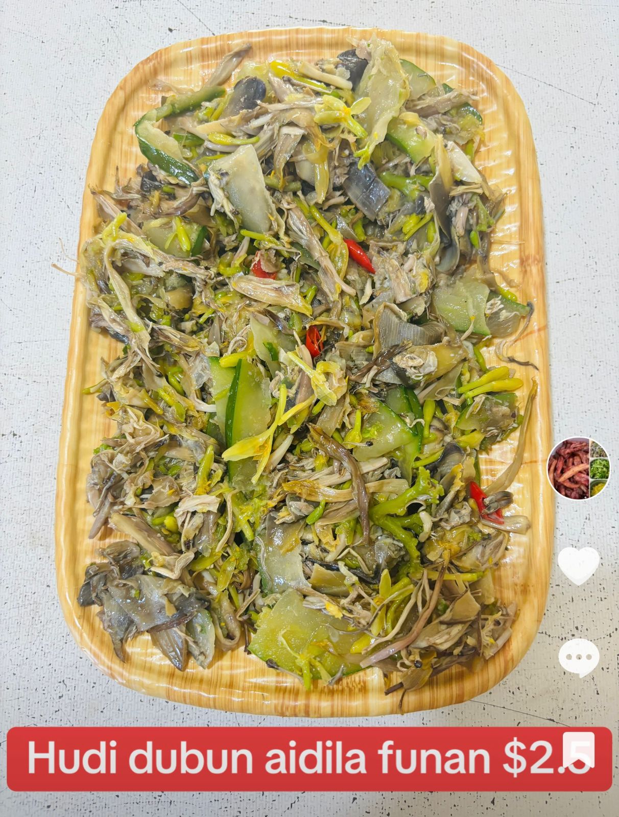 HUDI DUBUN AIDILA FUNAN