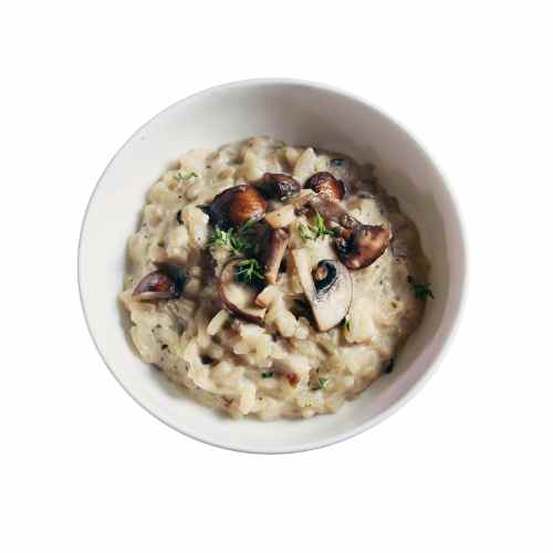 Mushroom Risotto